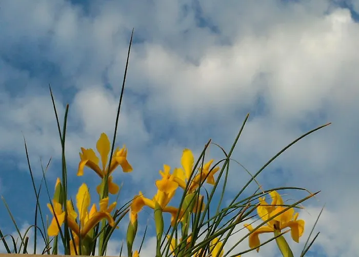 Nocleg ze śniadaniem And Vinko 3*